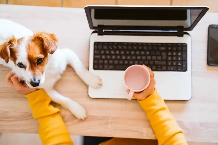 Working from home and using the spa